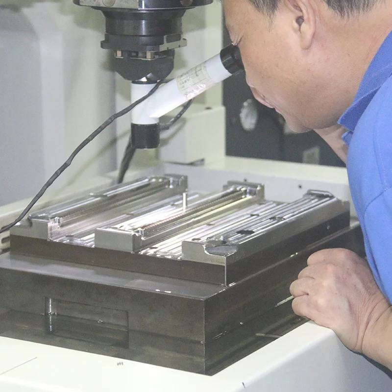 mold inspection cost